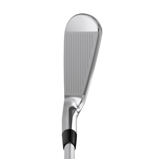 Mizuno Pro 241 Face