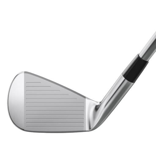 Mizuno Pro 241 Face