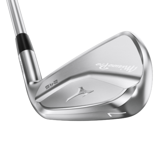 Mizuno Pro 245