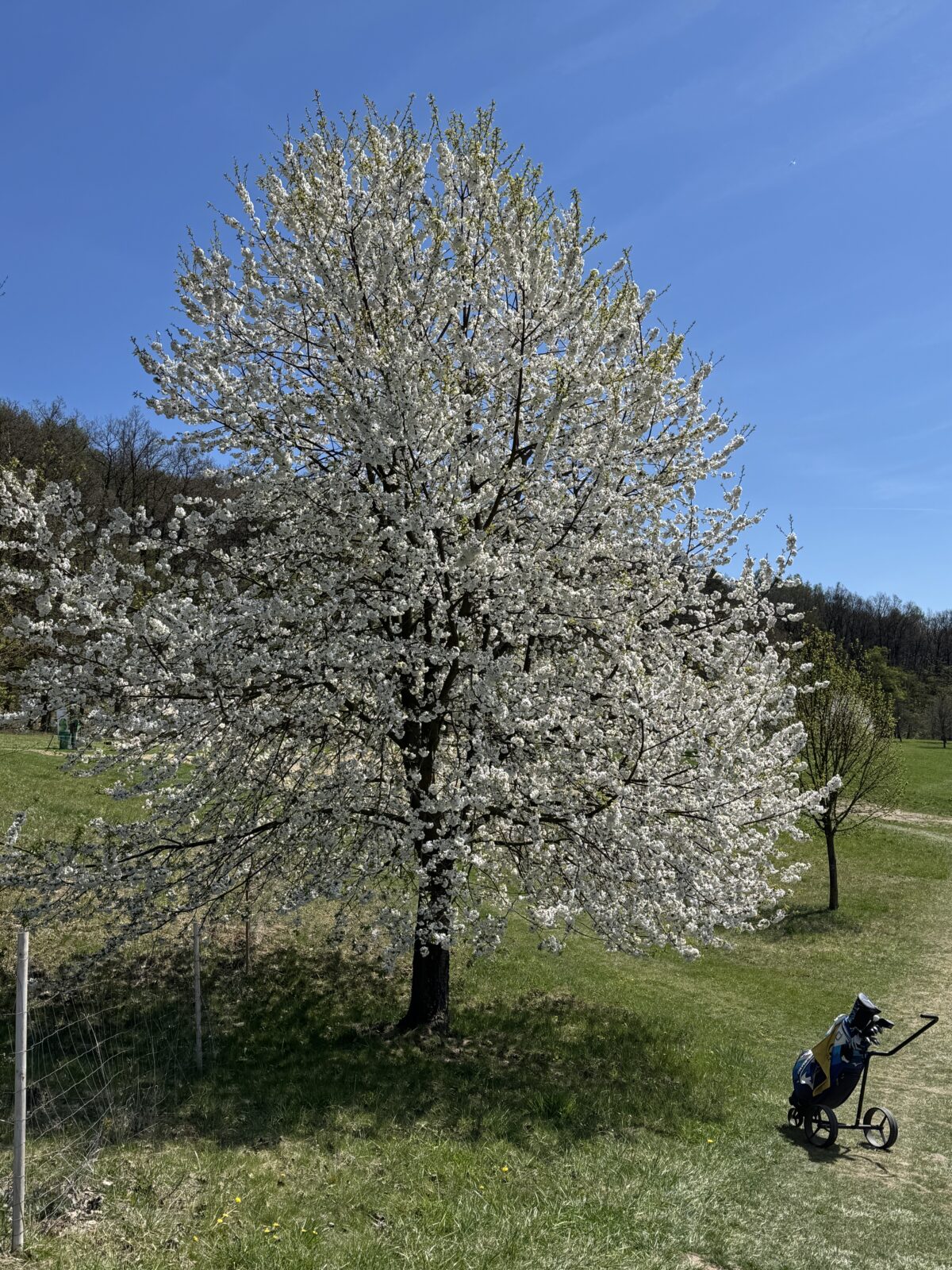 Mizuno Golf Tour 18.4.2026