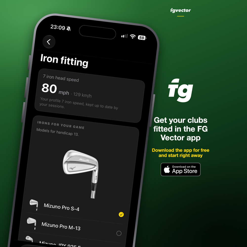 FG Vector Fitting EN